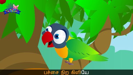 Pachai Kili பச்சைக் கிளியே வா வா  _ Tamil Rhymes for Children - Pasangala Paatukal-WxYnM2cRsOs