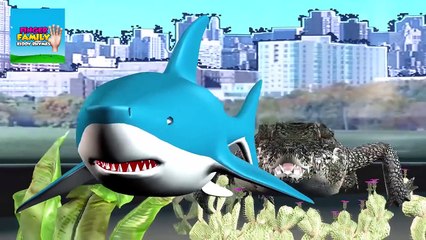 Shark Finger Family VS Alligator (Crocodile) Finger Family _ Rhymes in 3D-fvCNSB9dIdM
