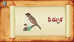 Telugu Balasiksha - Cha Vothu - Learn Telugu Language-d5tc6ob93S4