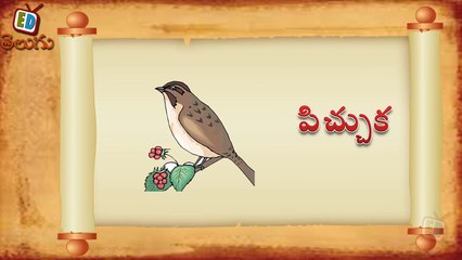 Telugu Balasiksha - Cha Vothu - Learn Telugu Language-d5tc6ob93S4
