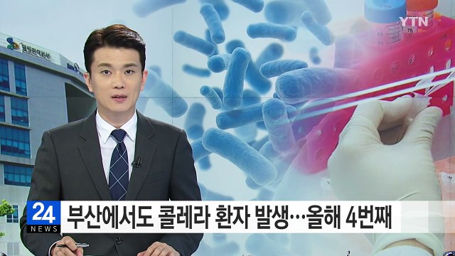 부산에서 4번째 콜레라 환자 발생...필리핀 다녀온 40대 남성 / YTN (Yes! Top News)