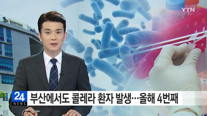 부산에서 4번째 콜레라 환자 발생...필리핀 다녀온 40대 남성 / YTN (Yes! Top News)