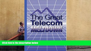 Read  The Great Telecom Meltdown  Ebook READ Ebook