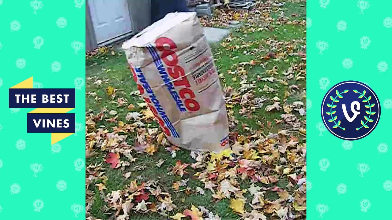 Try Not To Laugh Challenge    Funny Kids Vines 2016 Weekly Compilation