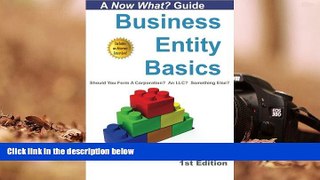 BEST PDF  Business Entity Basics: Should You Form a Corporation? An LLC? Something Else? (Now