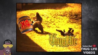 Ultimate Thug Life Compilation #44 Crazy Monkey Special