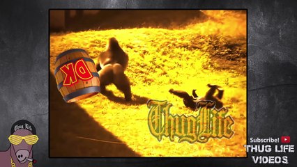 Ultimate Thug Life Compilation #44 Crazy Monkey Special