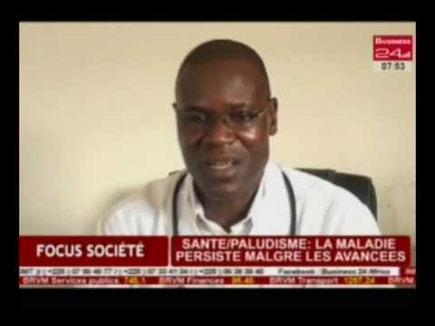 Business 24 / Focus société - Santé /Paludisme : La maladie persiste malgré les avancées