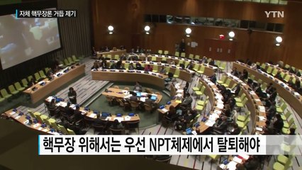 자체핵무장 선언 순간 어떤 일이...? / YTN (Yes! Top News)