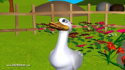 Five Little Ducks went out one day - 3D Animation English Nursery Rhymes for Children-yOVHOXO8PnM