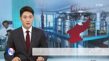 '가난한 나라의 핵, 화학무기' 북한의 또 다른 위협 / YTN (Yes! Top News)