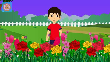 Hindi Nursery Rhyme _ Gulab Ka Phool-k0HLOulzCsk