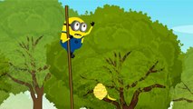 Minions Banana book Funny Cartoon - #Minions Banana 1 hour Funny Cartoon For Kids_11