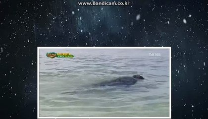 #토토창업,토토솔루션 임대 및 판매【카톡haricuty 스카이프cuty hary】