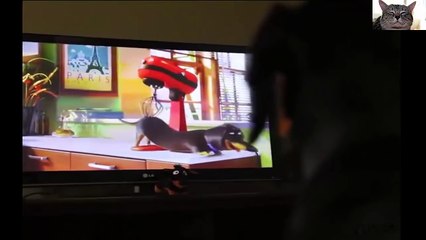 Have fun with dogs christmas video - Funny compilation 2017 - New year - try not to laug - FUNNY VIDEO