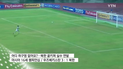 [영상] '어디 쥐구멍 없어요?'...북한 골키퍼 실수 연발 / YTN (Yes! Top News)