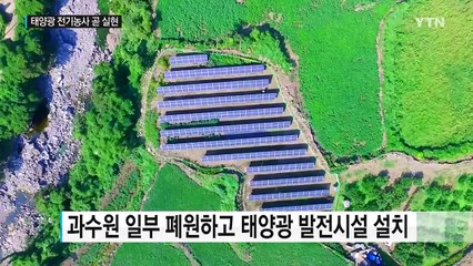 태양광 전기농사 '눈앞'...소득도 보장 / YTN (Yes! Top News)
