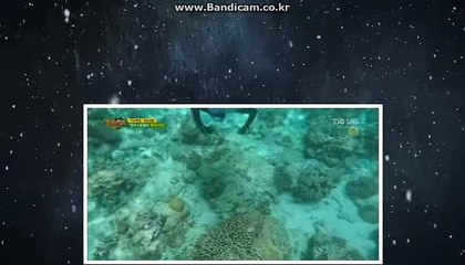 24시간 피드백 토토솔루션 24시간 상담가능