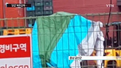 중국산 김치 국내산 '금(金)치'로 판매 / YTN (Yes! Top News)