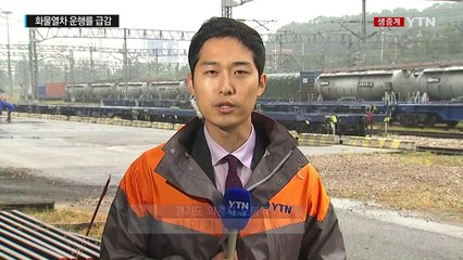 물류대란 우려...여객 운행 큰 차질 없어 / YTN (Yes! Top News)
