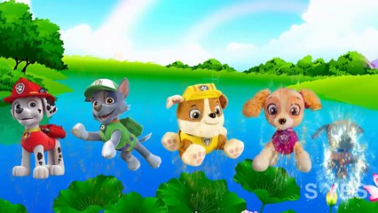 Paw Patrol Finger Family Nursery Rhymes | Animated Finger Family Nursery Rhymes For Kids