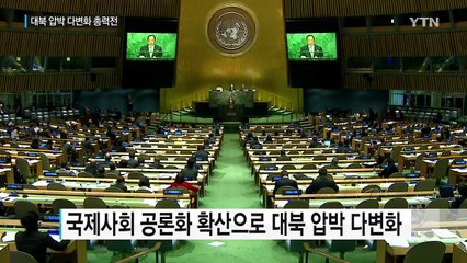 정부, 대북 압박 다변화 총력전 / YTN (Yes! Top News)