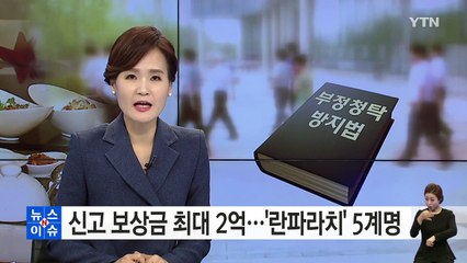 신고 보상금 최대 2억...'란파라치' 5계명  / YTN (Yes! Top News)