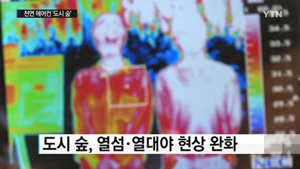 천연 에어컨 '도시 숲'...시민 참여 절실 / YTN (Yes! Top News)