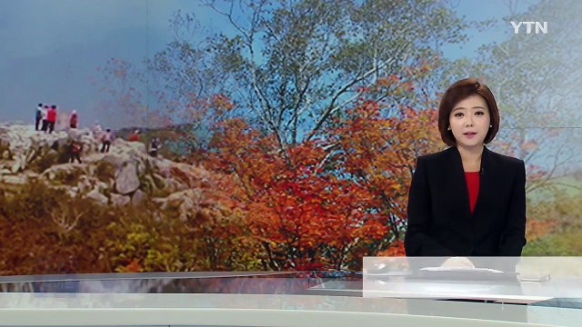 '울긋불긋' 설악산 첫 단풍...다음 달 15일쯤 절정 / YTN (Yes! Top News)