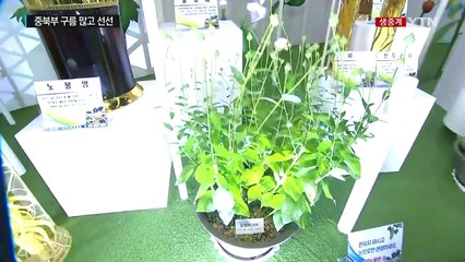 [날씨] 건강 챙기고, 축제 즐기고...연휴 날씨는? / YTN (Yes! Top News)