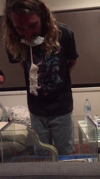 Nourrir son serpent à la bouche... Flippant!