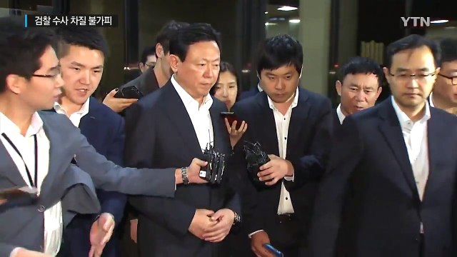 신동빈 회장 구속영장 기각...검찰 수사 차질 / YTN (Yes! Top News)