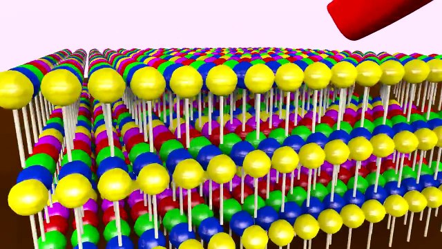 Super Finger Family Songs Collection Sweets and Animals Candies and Ice Creams