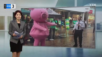 "완벽한 고립을 원한다면 '비밀의 방'으로 오세요" / YTN (Yes! Top News)