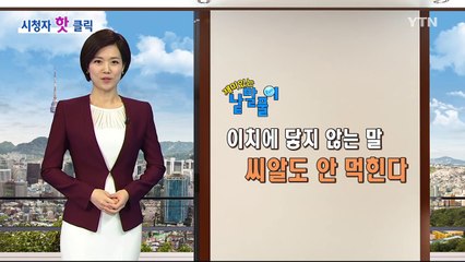 시청자 핫클릭 특집 방송 ① / YTN (Yes! Top News)
