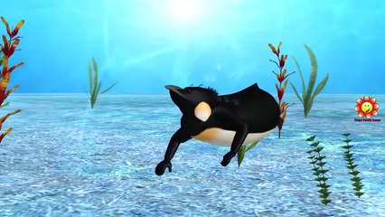 Finger Family Rhymes For Kids Sharks Penguin | Sea Animals Finger Family Nursery Rhymes