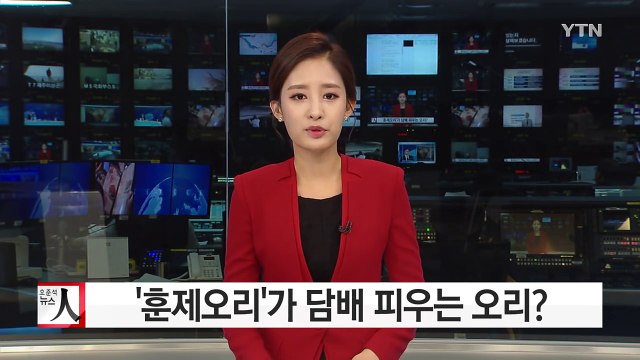 훈제오리가 담배피우는 오리?...이상한 한식 표기법 / YTN (Yes! Top News)