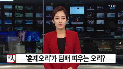 훈제오리가 담배피우는 오리?...이상한 한식 표기법 / YTN (Yes! Top News)