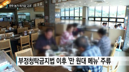 충남한우 '토바우' 매출↓...사육농가 위기감 '고조' / YTN (Yes! Top News)
