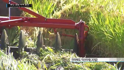 쌀값 폭락, '논콩'·'논감자'가 대안 / YTN (Yes! Top News)