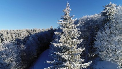 La Neige Sur Les Sommets "La vallée de Munster sous un Angle Nouveau"