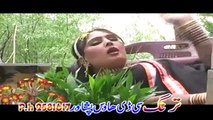 Pashto New Song With Dance Gul Rukh Gul - Armano Me Shwal Khawory