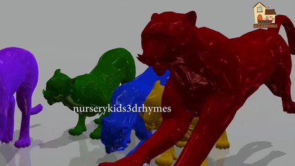 Bear Colors Song Collection | Learn Teach Colours to Toddlers | Preschool Kids Nursery Rhymes Song