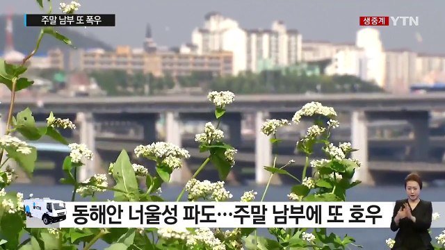 [날씨] 내륙 청명한 가을 날씨...주말 남부 폭우 / YTN (Yes! Top News)