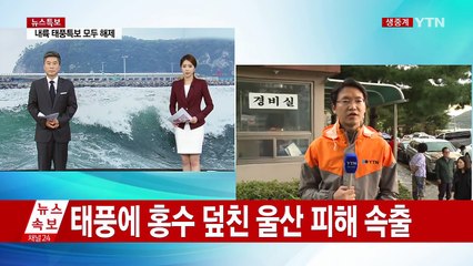 태풍에 홍수 덮친 울산, 곳곳에서 피해 속출 / YTN (Yes! Top News)