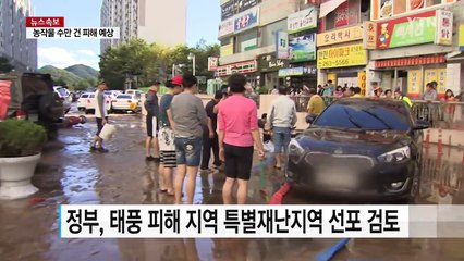 정부, 태풍 피해지역 특별재난지역 선포 검토 / YTN (Yes! Top News)