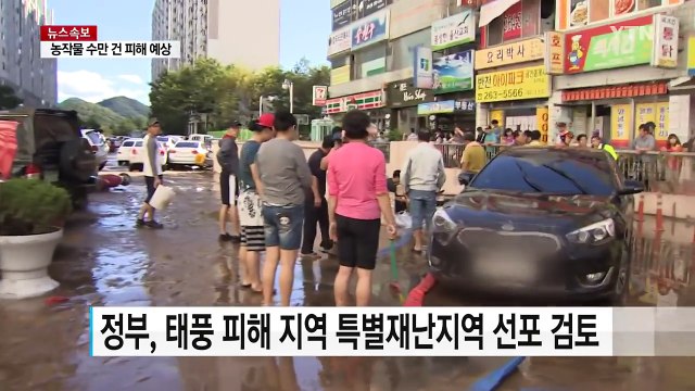 정부, 태풍 피해지역 특별재난지역 선포 검토 / YTN (Yes! Top News)