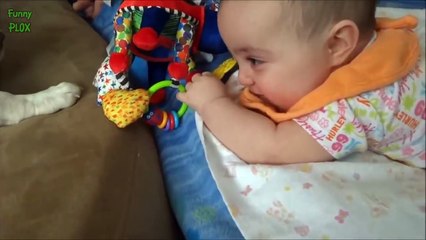 Puppies and Babies Playing Together Compilation 2017