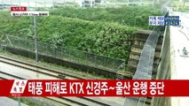 KTX 신경주∼울산 운행 중단 / YTN (Yes! Top News)