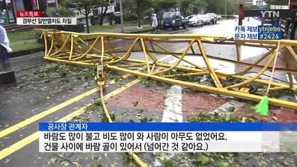 쓰러지고 부서지고...태풍 '차바'가 할퀸 제주 / YTN (Yes! Top News)